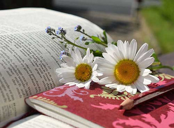 Offenes Buch mit Gänseblümchen und Notizbuch auf einem Tisch im Freien